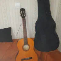 گیتار c725 ساخت اندوزنی