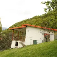 ملک از ما رضایت از شما