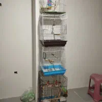 قفس مسافرتی