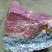 سنگ شجر کلکسیونی