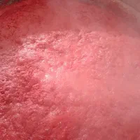 رب گوجه فرنگی ارگانیک و خونگی