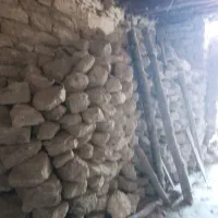 سنگ مرجانی/بوشهری