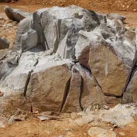 بلک پاور