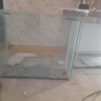 آکواریوم