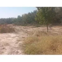زمین مسکونی ۴۰۰ متر