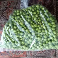 نخود فرنگی درشت دون شده تمیز