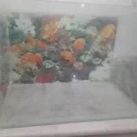 آکواریوم سالم شیشه خم
