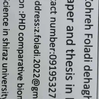 انجام مقاله کنفرانسی انگلیسی