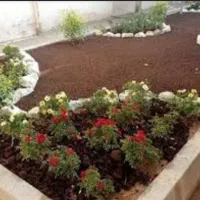 باغبانی هرس سم و کود دهی باغچه و باغ گاردن