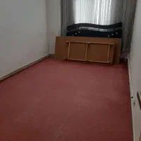 موکت گلبهی رنگ