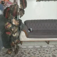 لوستر ترحه  گل کنار