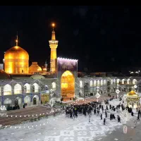 ادمین تولید محتوا