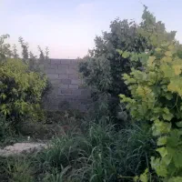 باغ ۲۵۰متر مربع   دارای سهمی آب  از کانال محمدی