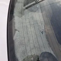 باند