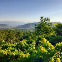 باغ خانوادگی تفریحی