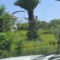فروش سیکاس