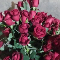 انواع گل رز
