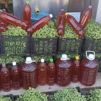 آبغوره گارانتی دار ۲۰۰هزار