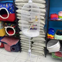 قفس سفید مرغ مینا