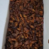 گله آفتابی درجه خوراکی موجود است