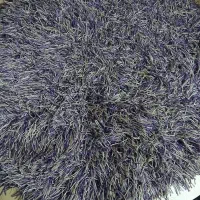 فرش
