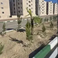 هدیه ای که میتونی برا خودت بگیری