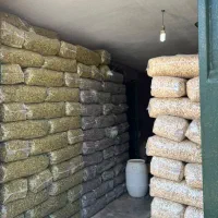 پخش تخمه درجه یک