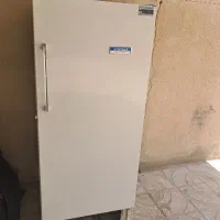 یخچال فریزر ارج
