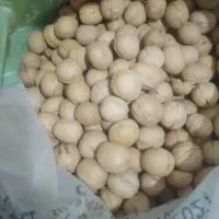 گردو پوست‌‌ کاغذی  کیفیت‌عالی