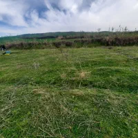 زمین کشاورزی فروشی فوری