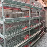 قفسه بلدرچین زیرقیمت