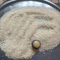 برنج نیم دانه