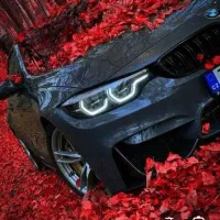 راننده شخصی هستم