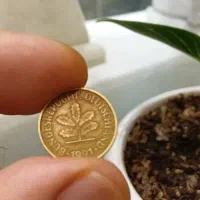 سکه قدیمی مربوط به سال۱۹۹۱