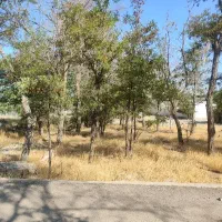 فروش زمین مسکن ملی هر چها سهم یکجا