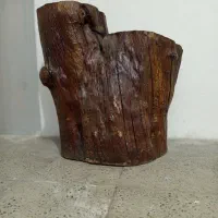 چوب درخت گردو