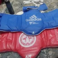 میت و هوگو تکواندو