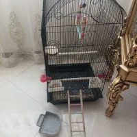 قفس پرنده