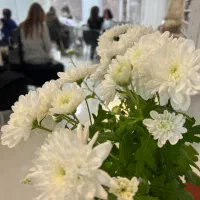 اجاره اتاق و صندلی سالن زیبایی و خدمات تمامی لاین