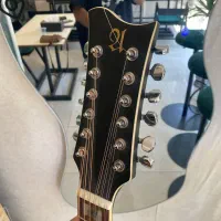گیتار ۱۲ سیم ESP ltd