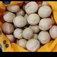 گردو خارجی پوست کاِغذی