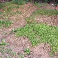2باب-مغازه-25متری-جهت-اجاره