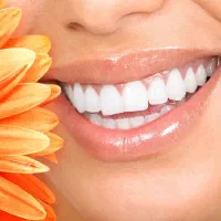 خدماتی جهت کلینیک دندانپزشکی در چهارراه طالقانی