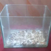 آکواریوم کوچک ۲۴ سانتی متر