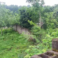 زمین روستایی سند دار 870 متری
