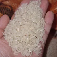 برنج صدری درجه 1