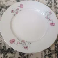 ۶عدد برنج ۲۰ سانتی ۶عدد پنیر خوری