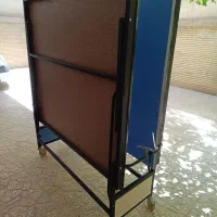 پینگ پنگ درحد نو