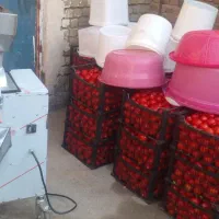 اب گیری ابگیری گوجه سیار
