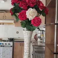 گل و گلدان سالم